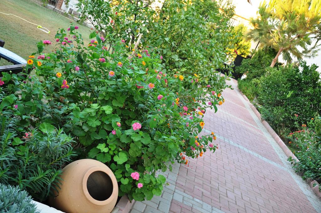 Mursel Garden Hotel Kuşadası Dış mekan fotoğraf
