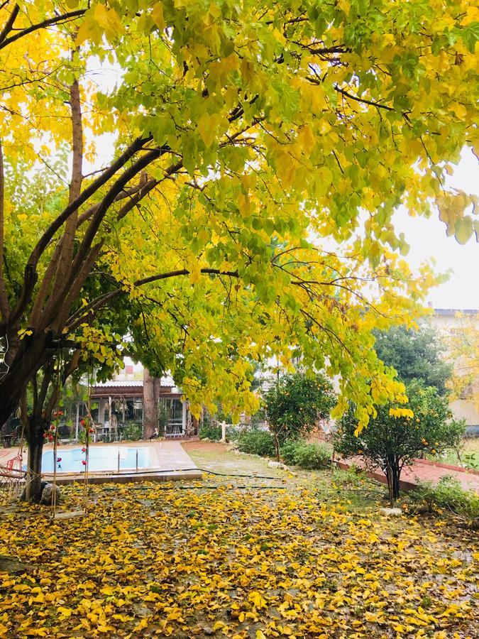 Mursel Garden Hotel Kuşadası Dış mekan fotoğraf